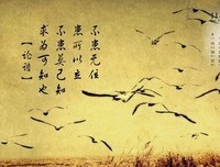 2019倾泠月名言