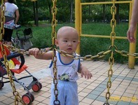 最全的《小木木》经典的句子