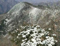 雪飘的名言_关于雪飘的名言