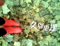 第军利爱的的优美句子