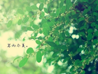 亦舒的优美句子