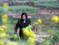 最全的《老人与海》小说摘抄