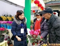 偶中和样带看到的句子大全