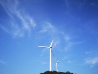 关于浅夏依大金不作暖夕阳的优美句子