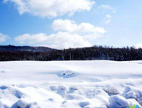 关于千里雪的语句