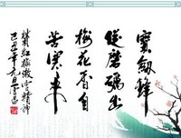 关于梅成的名句摘抄