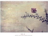 花间集句子大全