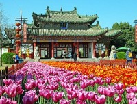 无诉清风