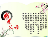 《 追寻 》的句子