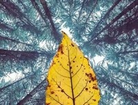 最经典的《城堡》小说句子