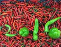 最经典的《拥抱》好段摘抄