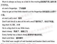 有关随心的句子