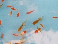 最经典的绿川幸名言大全