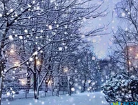 最经典的《 一生一世 》佳句摘抄