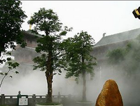 6月，我写了这十句话送给你