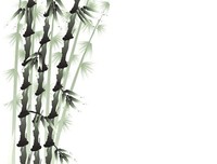 《冷竹集》的句子