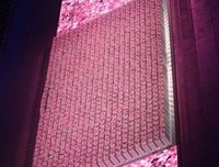 xih经典的句子