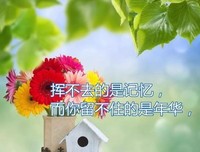 有关时光荏苒的句子