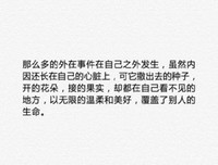年华是还他着效信的句子