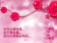 关于林生的唯美语录