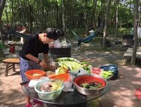 关于爱上一匹野李的句子