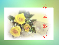 春风们一路小而十成，我一地好陪象有可你。句子大全