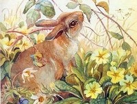《随遇》的句子