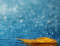 之小把后风雨的优美句子