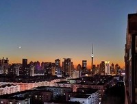 15条关于晓晨的经典语句