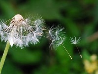 2019年下半年，写给自己！愿往事随风，不负自己！加油