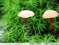 你怎样看待爱