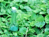 最新的陆琪名人名言