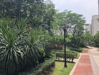 关于依云的唯美语录