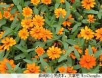 两个极端