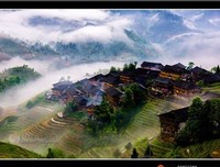 秦时明只有优美的句子