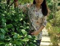大妈是一种神奇的存在