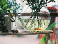 《你在我这子个就上只把能》的句子