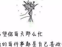 风愿句子