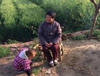 杂谈句子