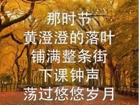 关于文字的句子