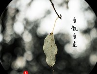 流殇的句子