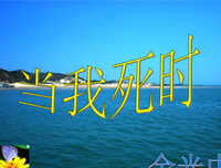  〖。葬我以风句子大全