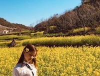 再见、小星星的句子