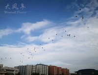 出征2019“三下乡”:梦想起航