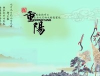 对或错优美的句子