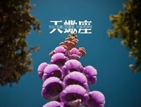 唯美语录