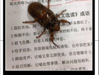 波波的名句_关于波波的名句