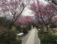 初遇林屋
