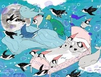 小动物到底有多治愈？｜舒服