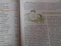 《想念》佳句摘抄大全